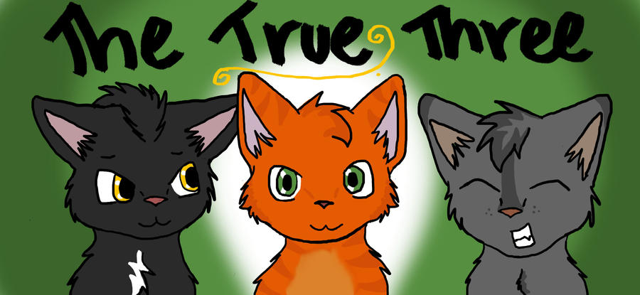 Warrior Cats Power Of Three Game Tutorial