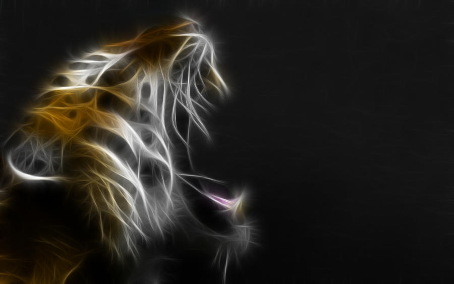 Leopard Tiger Rainbow Art