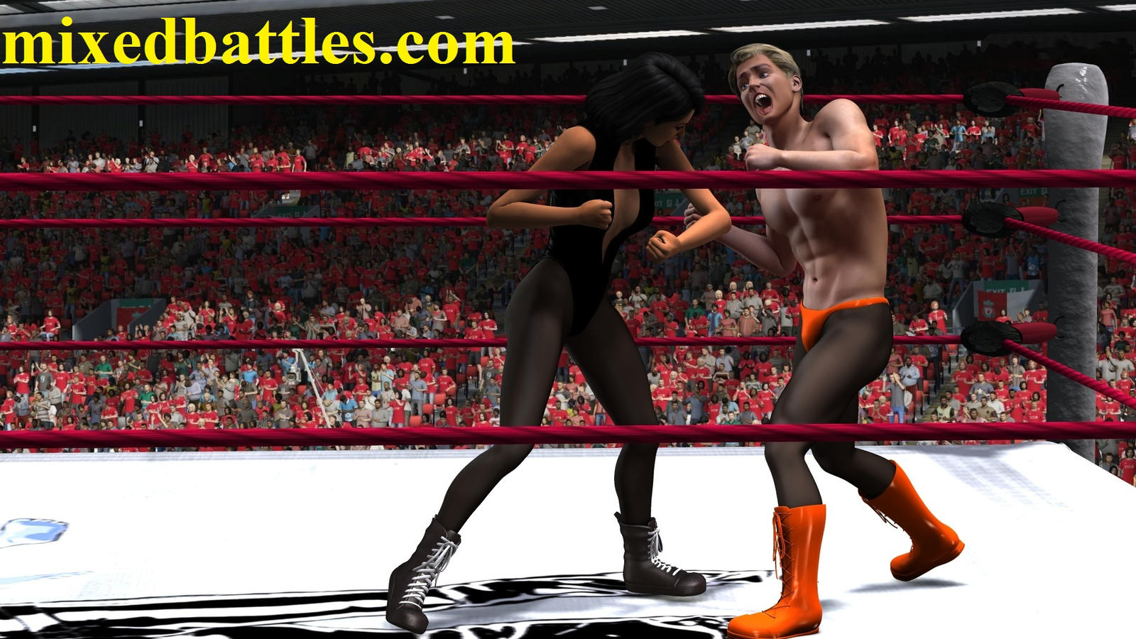 mixed_wrestling_fist_fight_www_mixedbattles_com_by_q1911-d9y90pk.jpg