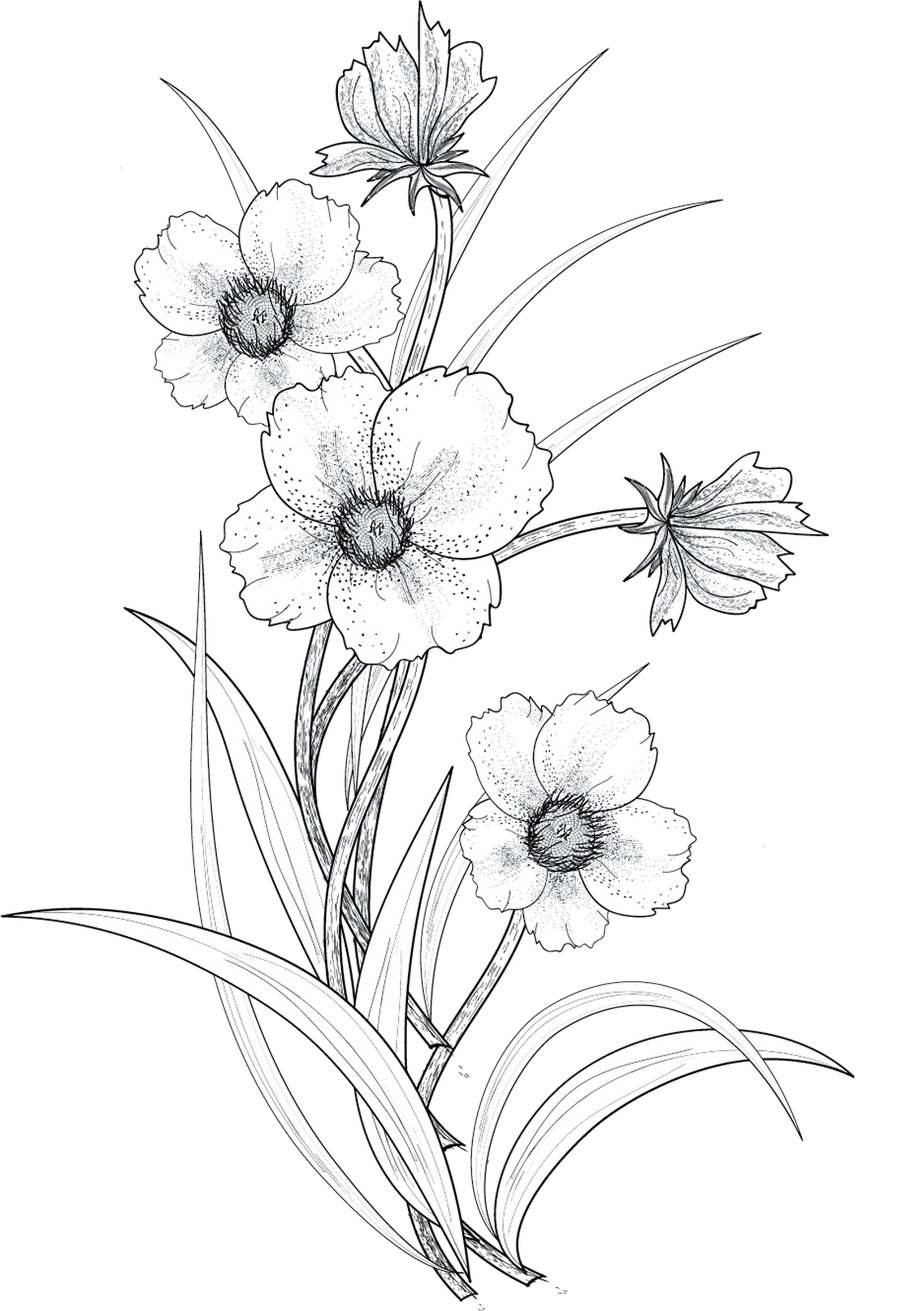 flowers 3 png by roula33 on DeviantArt