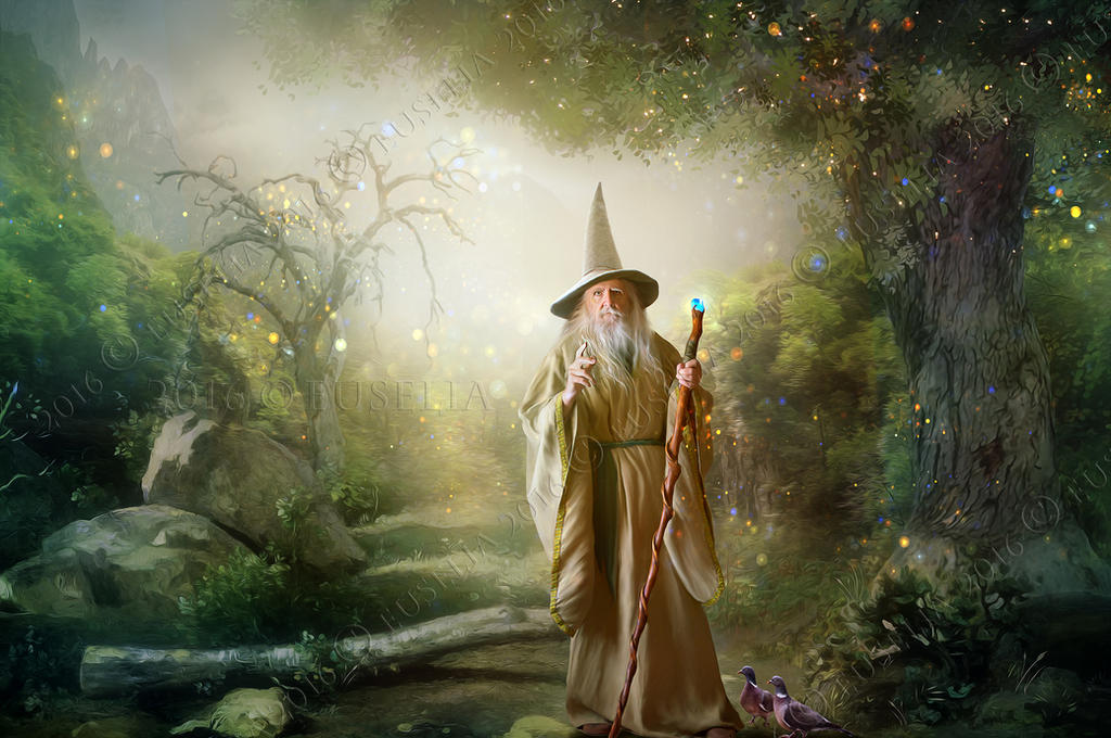 Wizard by Euselia
