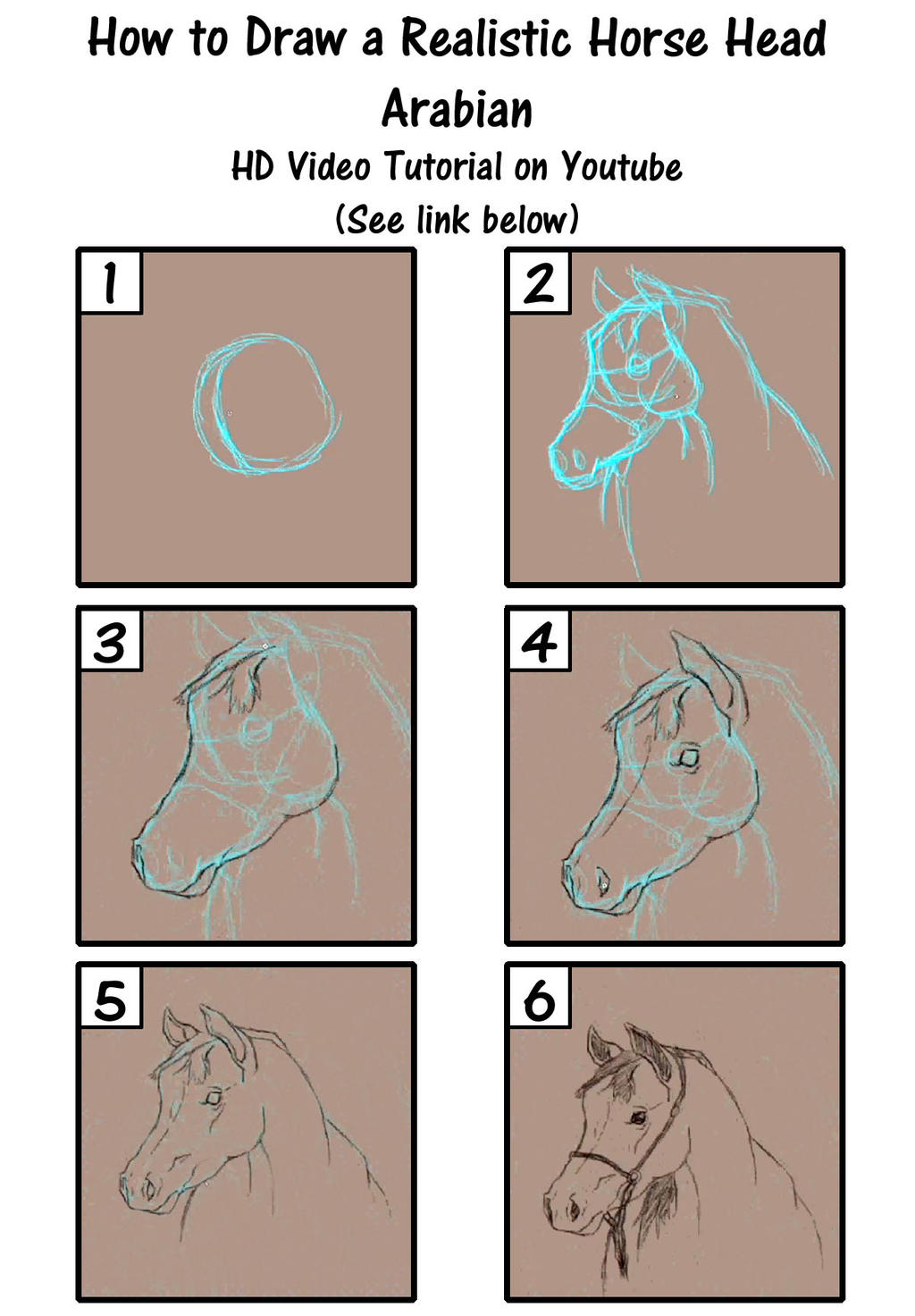 How to Draw a Realistic Horse Head Arabian by SavannaW on