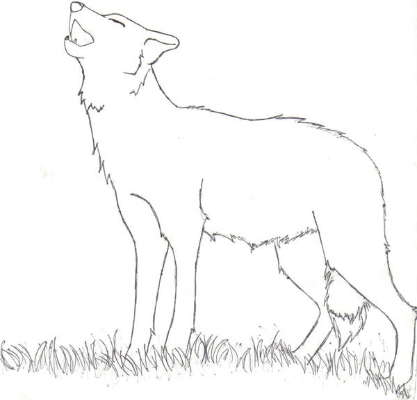 Howling Wolf -uncolored- by AirWolfDemon on DeviantArt