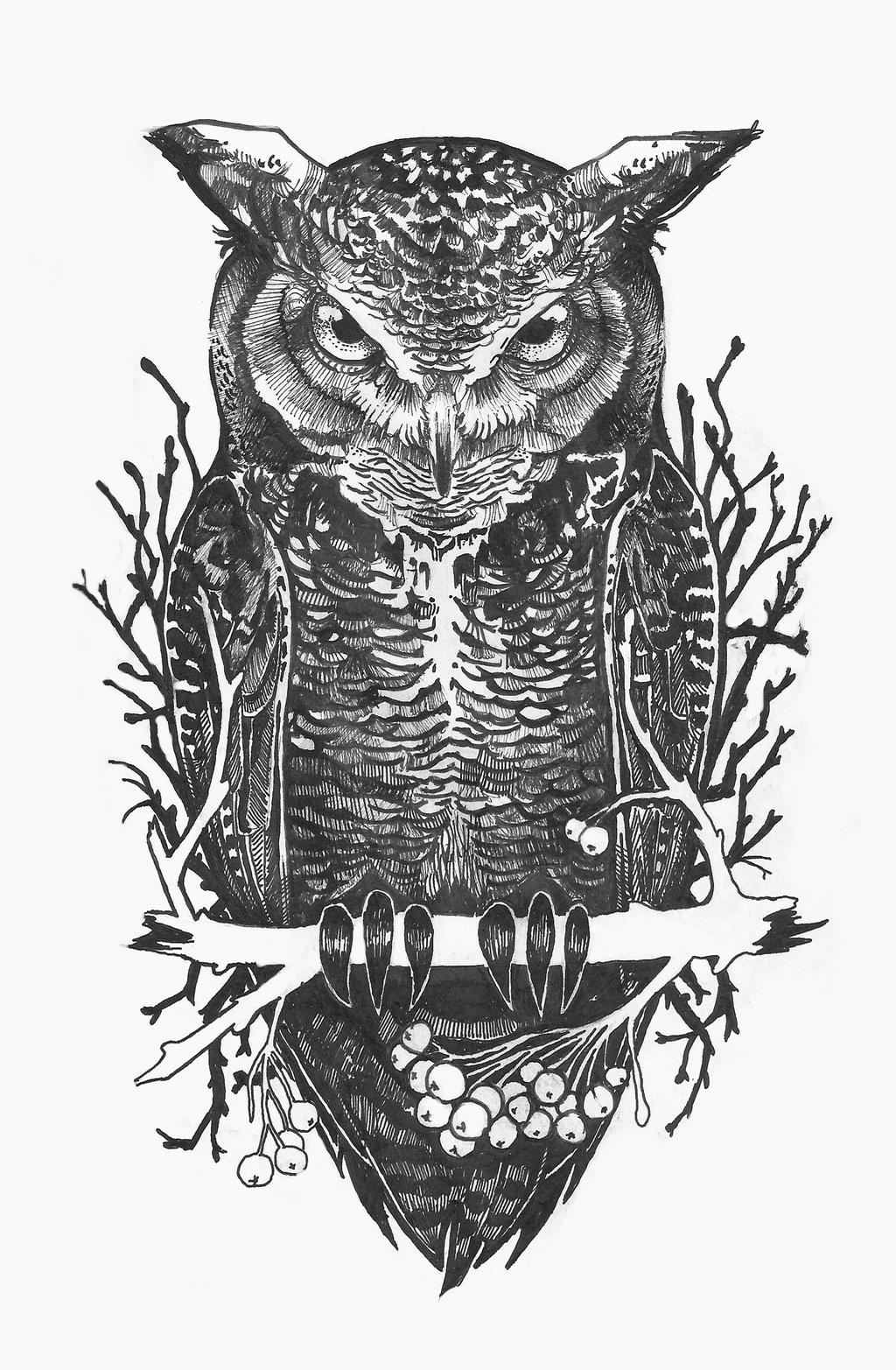 Owl on rowan tree (sketch#27) by Ymadness on DeviantArt