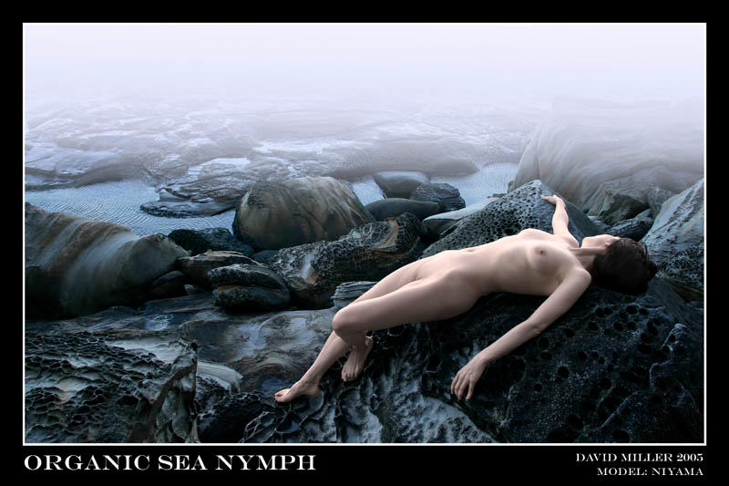 Organic Sea Nymph by Ozphotoguy
