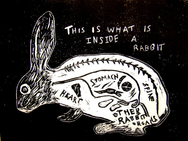 What is inside a rabbit by madamtruffle on DeviantArt